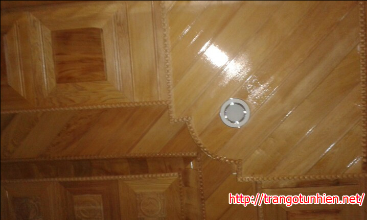 trần gỗ tự nhiên 