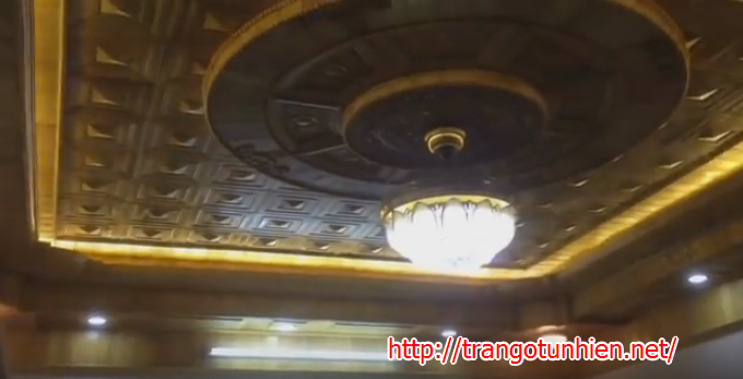 mẫu trần gỗ đẹp TG20